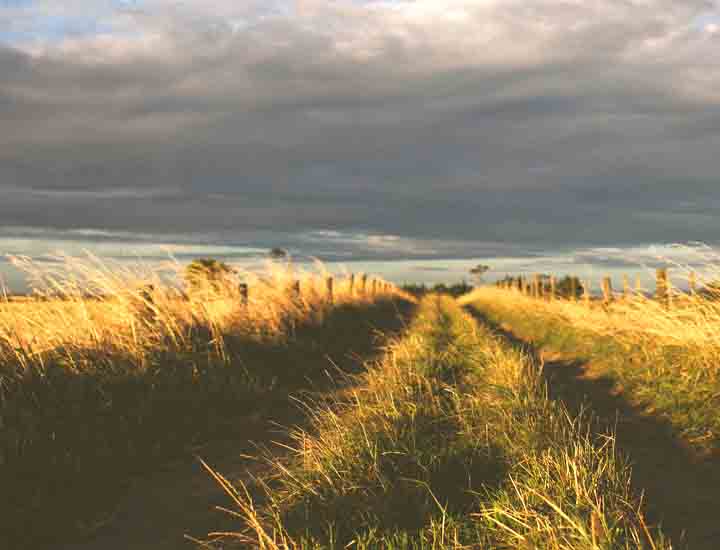 官方渠道正版的轰炸手机号软件